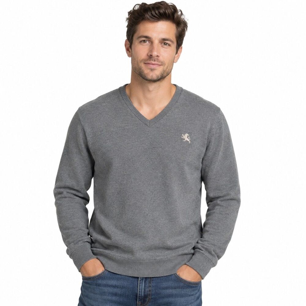 Express Mens XL Gray V Neck Sweater 100% Cotton Lion Logo Pullover Preppy